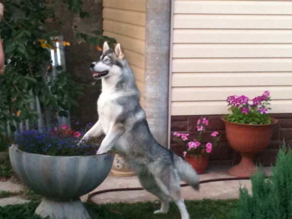 Татьяна Лерандэль