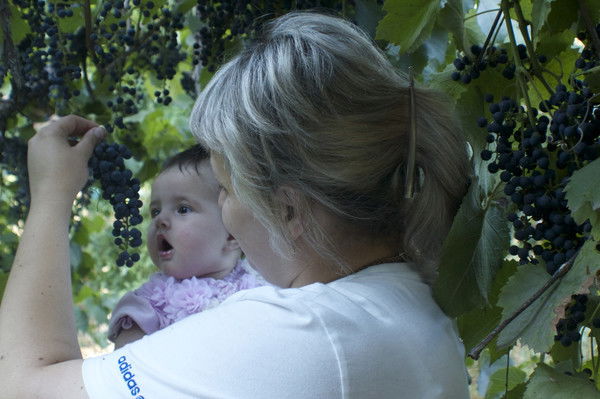 Наталья Янович