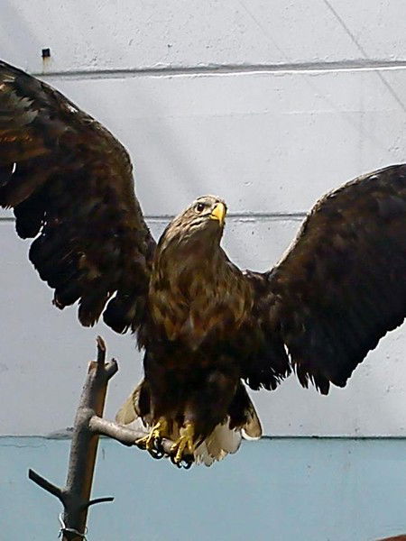 Сергей Карачев