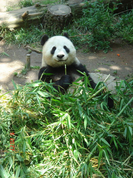 Екатерина Беликова