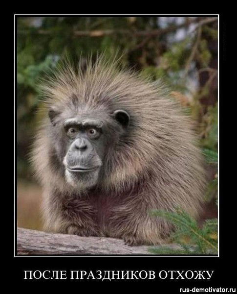 Руслан Шакиров