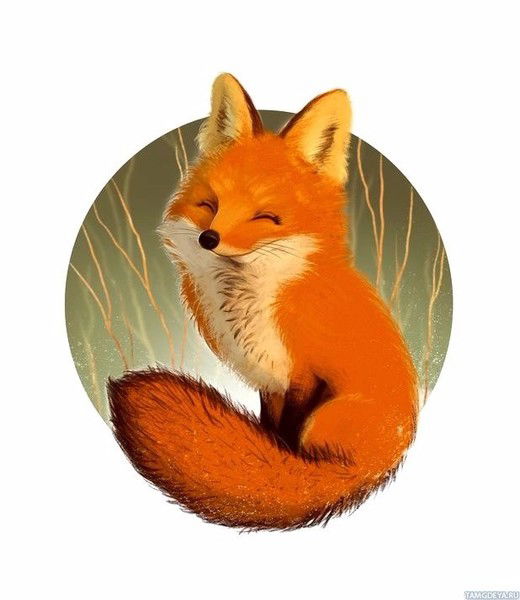 Катя Fox