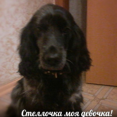 Танюшка Курильчик