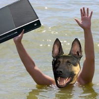 Даниил Рогачев