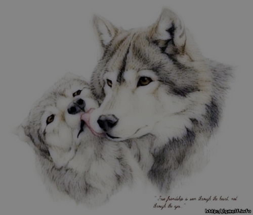 Владимир Нейман