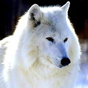 Михаил Соловьев