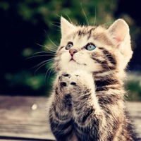 Юлечка Назаренко