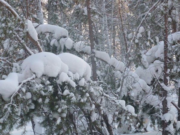 Александра Кулаева