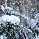 Александра Кулаева