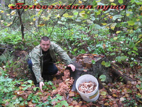 Эдуард Павлов