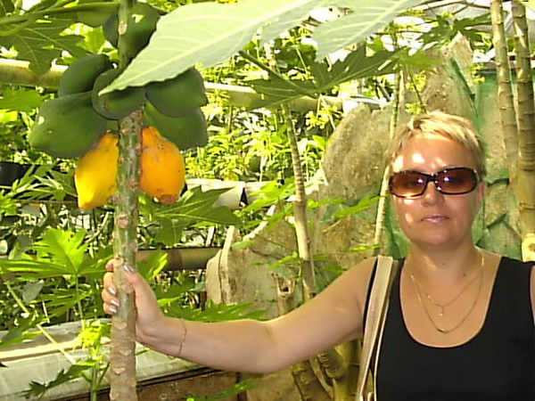 Татьяна Carпова