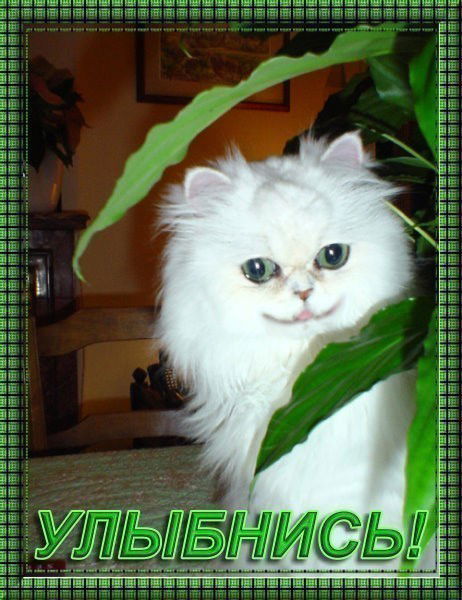 Лидия Лыхенко