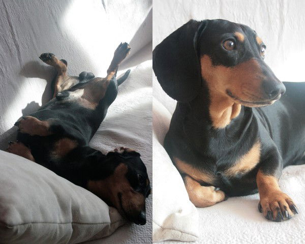 Ольга Хромова