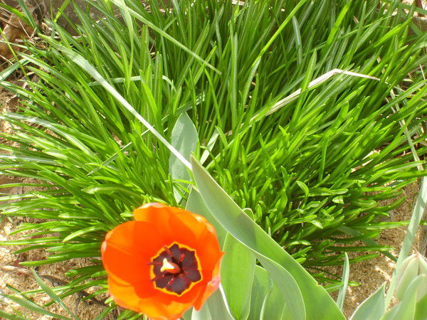 Оксана Борисова