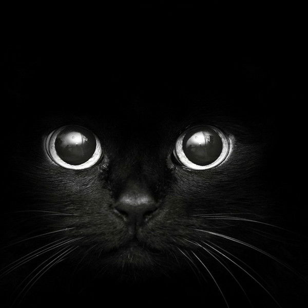 Артём Кондратьев