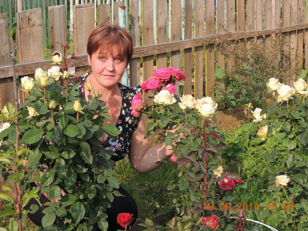 Татьяна Иванович