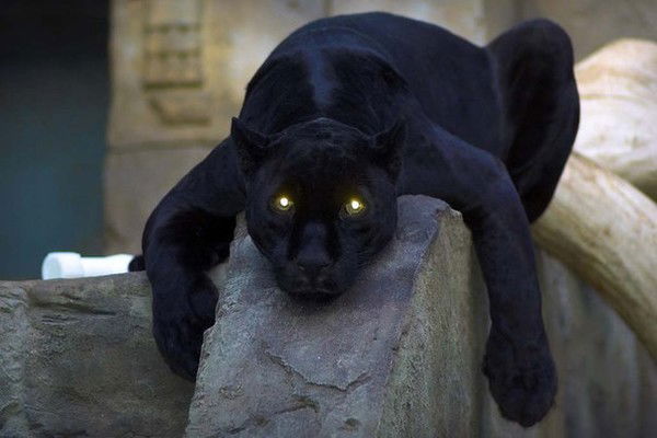 Elena-Dostova Достова