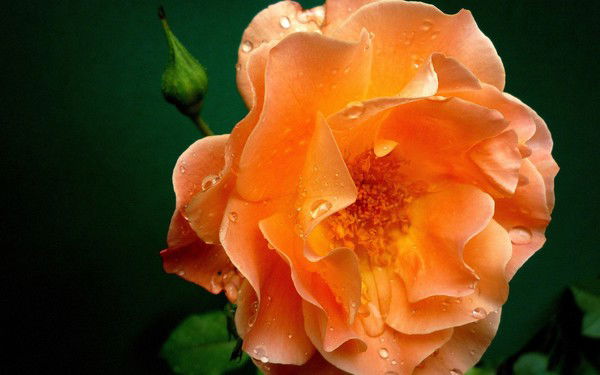 Валерия ~~~~~~