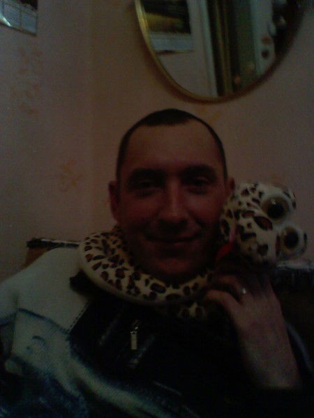 Александр Медведев