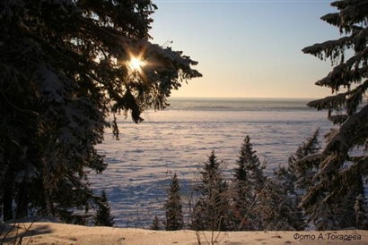 Ирина Беляева