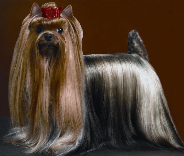 Мария Данец