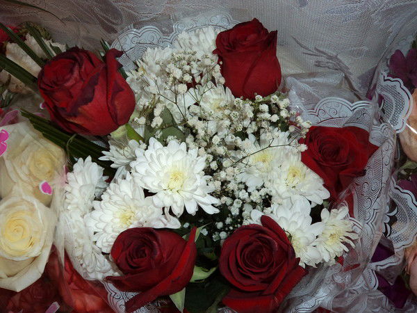 Елена Шагапова