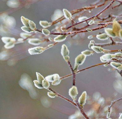 Светлана*Вел