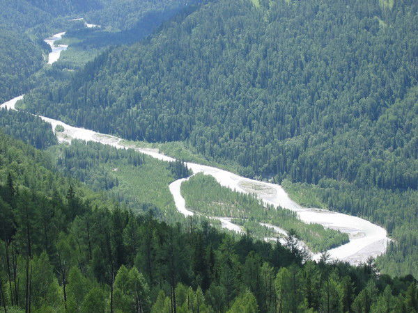 Гулмира Толегенова