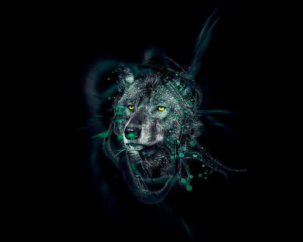 Владимир Шадрин