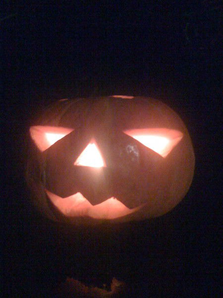 Александр Поливода