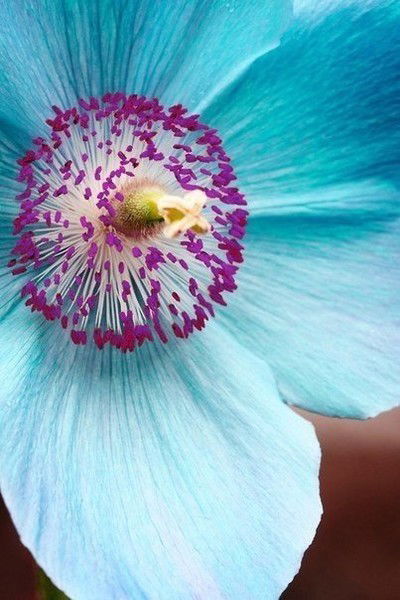 Ольга Тихоненкова