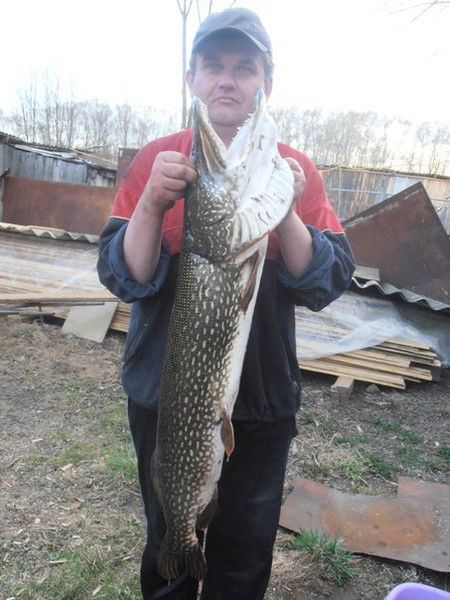 Александр Гусев