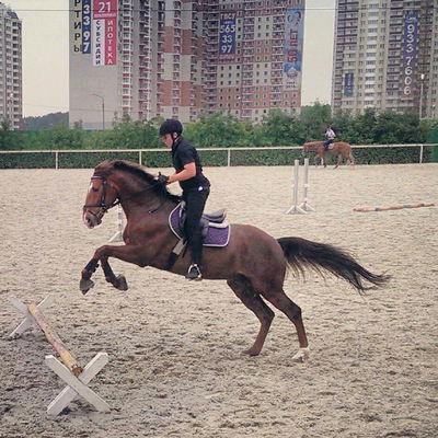 Ильяс Бейвель