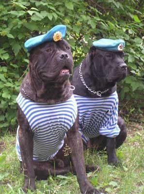 Легион*** Легион***