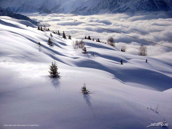 Резеда Гиниятуллина