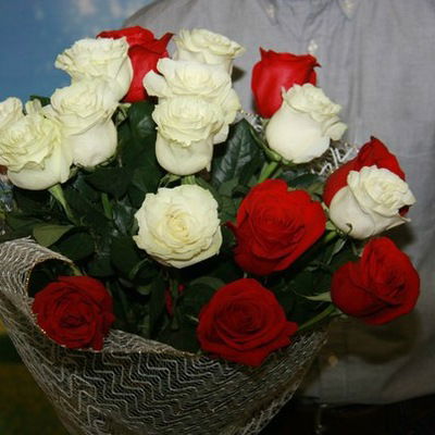 Анна Никонова