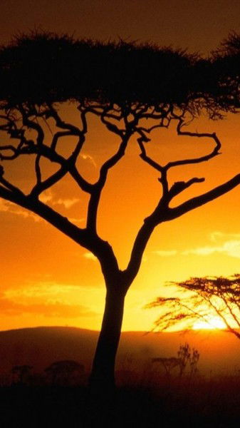 Руслан Мустафаев