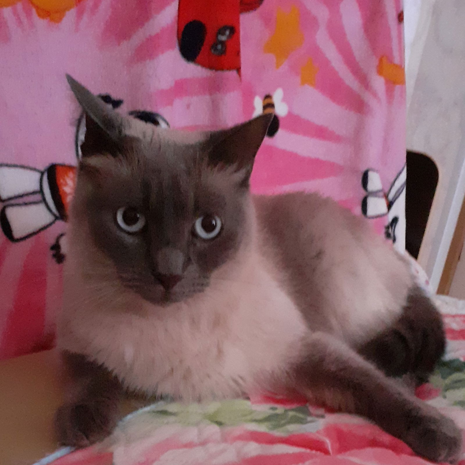 Наталья Астафьева