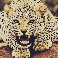 Анастасия Кривкова