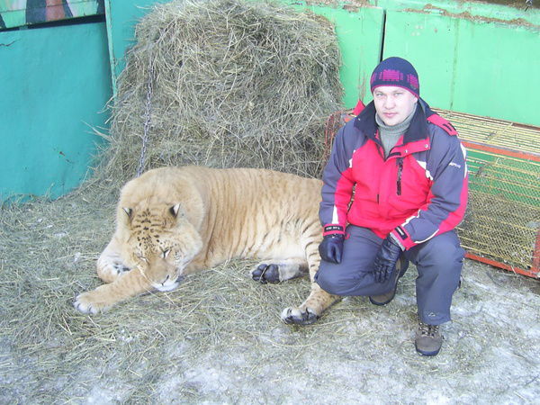 Владимир Ланцов