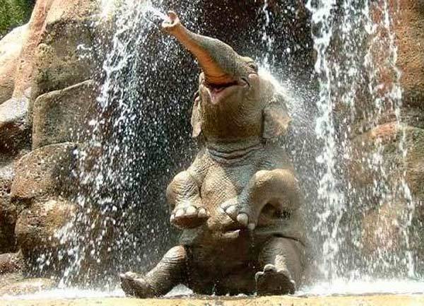 Ольга Беринцева