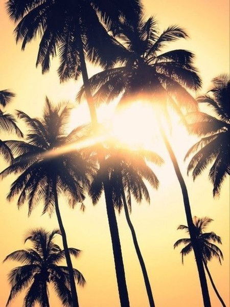 Светлана Шиловская