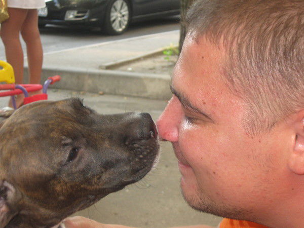 Владмир Доможилкин