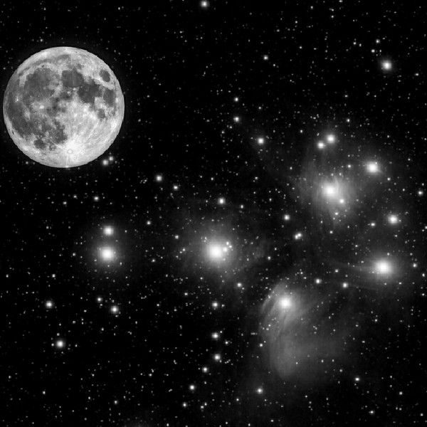 Сергей Пыльнов