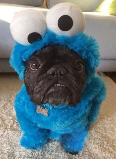 Лерочка Данилова