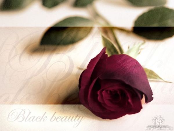 Юлия Шульга