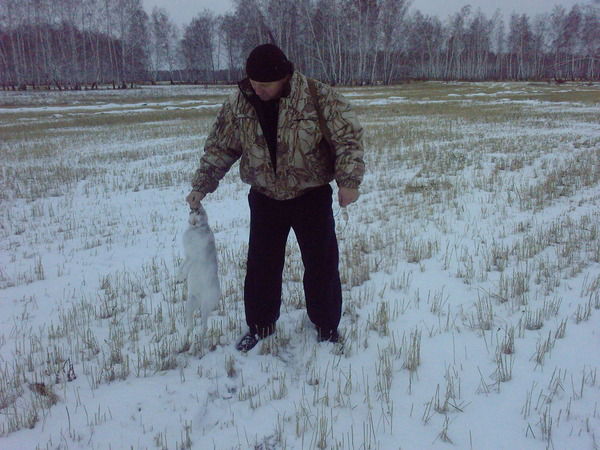 Александр Шатилов