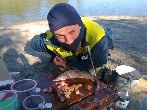 Дмитрий Кривко