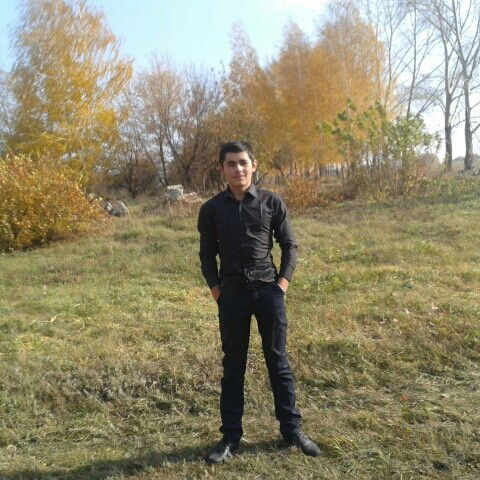 Сеймур Мамедов