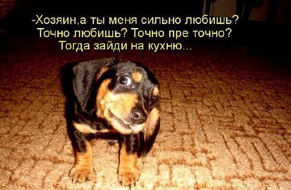 Василий Минкин